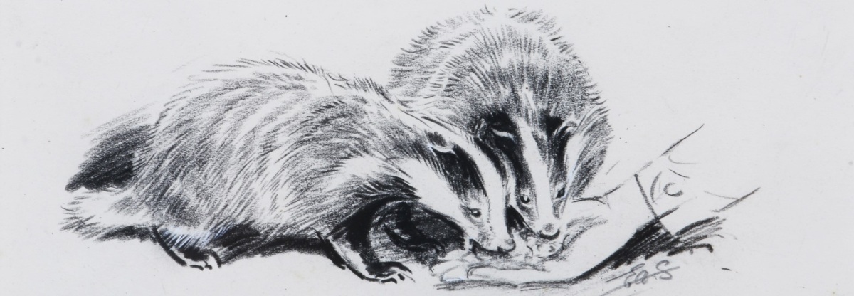Eileen Soper: Discovering The Badger Lady